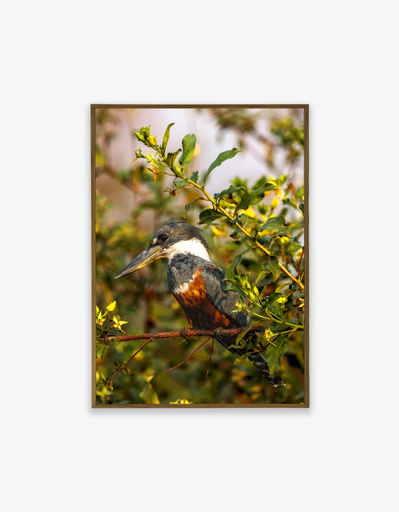 Quadro Fine Art – Vigilante do Riacho