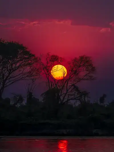 Quadro Fine Art –  Pantanal Twilight