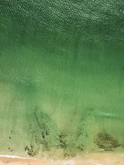 Quadro Fine Art – Green Stillness — Tríptico